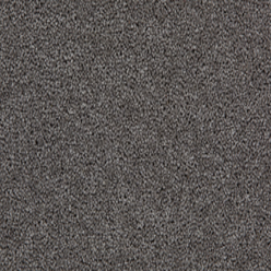 TOMKINSON PLAINS ELEPHANT Image