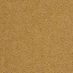 TOMKINSON PLAINS MARIGOLD Image