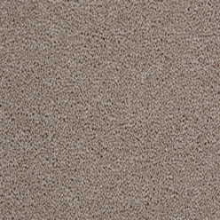 TOMKINSON PLAINS OYSTER Image