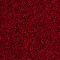 TOMKINSON PLAINS RASPBERRY Image