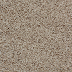 TOMKINSON PLAINS SABLE Image