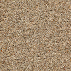 TOMKINSON TWIST ULTIMATE FLAX Image