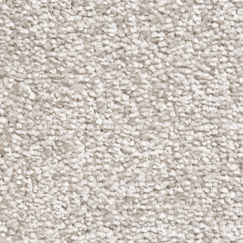 PEBBLE BEACH SUPER ACTIONBAC DONKEY RIDE Image