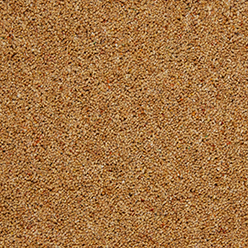 TOMKINSON TWEED CHEVIOT Image