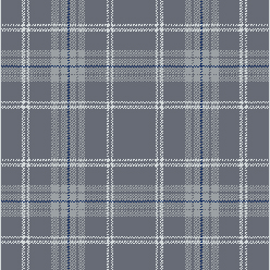 CLAN MOONLIGHT ARBROATH Image