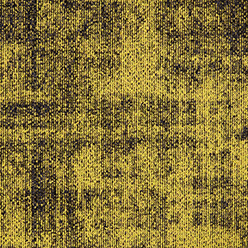 OVERLAY 210 DANDELION Image