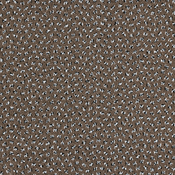 NEW ANDAMAN 962 TEAK Image