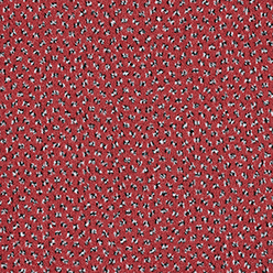 NEW ANDAMAN 455 RUSTIC RED Image