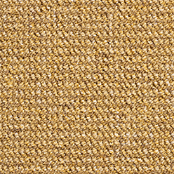 ELEVATE 51 AMBER Image