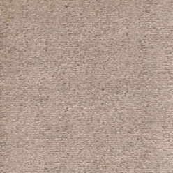 ASTON PEARL 305 Image