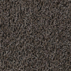 Coral Brush - Shark Grey 5714 (pure)