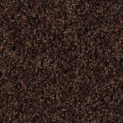 Coral Brush - Chocolate Brown 5724 (pure)