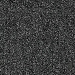 Coral Classic - Mouse Grey 4721