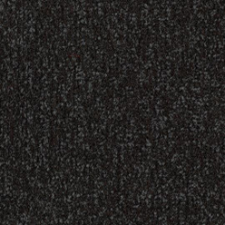 Coral Classic - Raven Black 4730