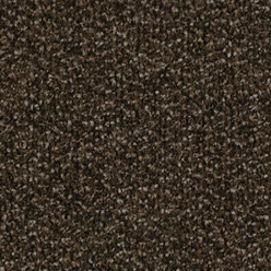 Coral Classic - Espresso 4744