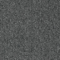 Coral Classic - Silver Grey 4751