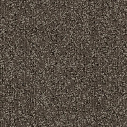 Coral Classic - Taupe 4764