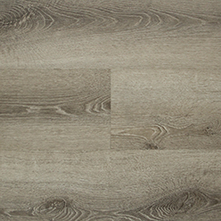 FIRMFIT ORIGINAL PLANK CW1990 Image