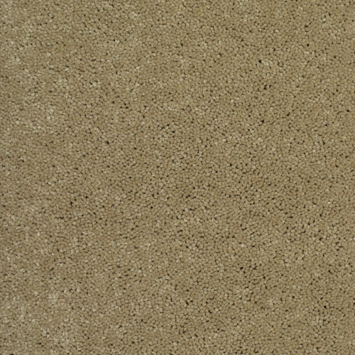 SEDUCTION DESIRE Image