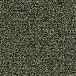 Coral Classic - 4758 Olive