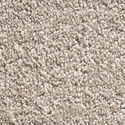 PARK AVENUE (ENVY) 172 TRUFFLE Image