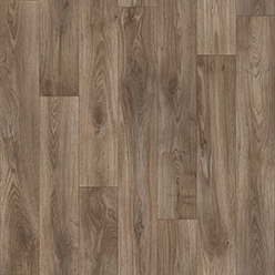 BLUE LAGOON 1013(PIN OAK 669D) Image